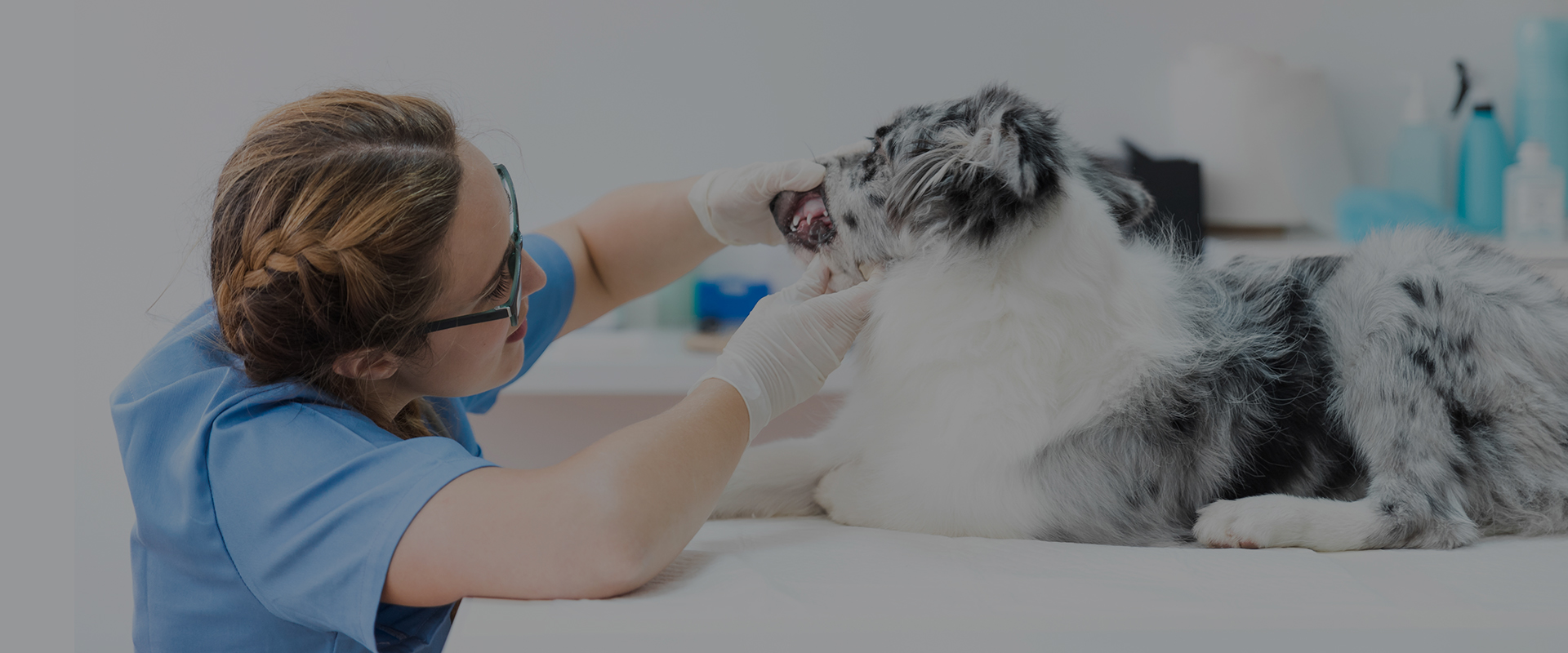 demo09.demoyeri.info