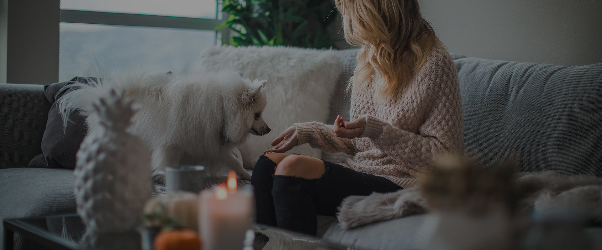 demo09.demoyeri.info