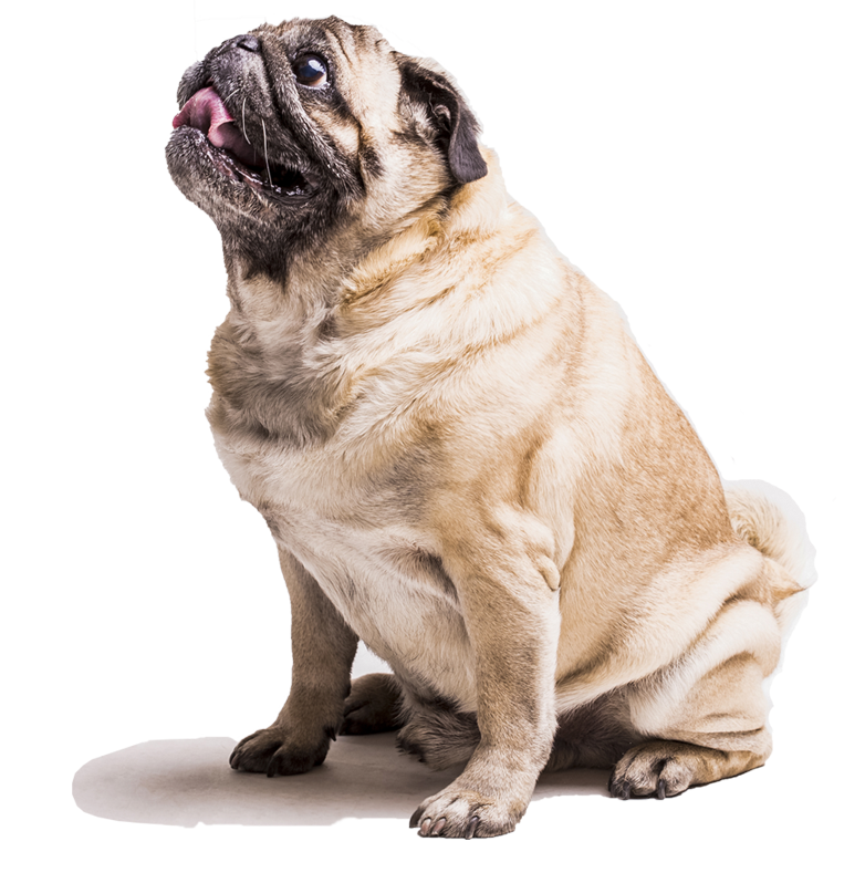 demo09.demoyeri.info